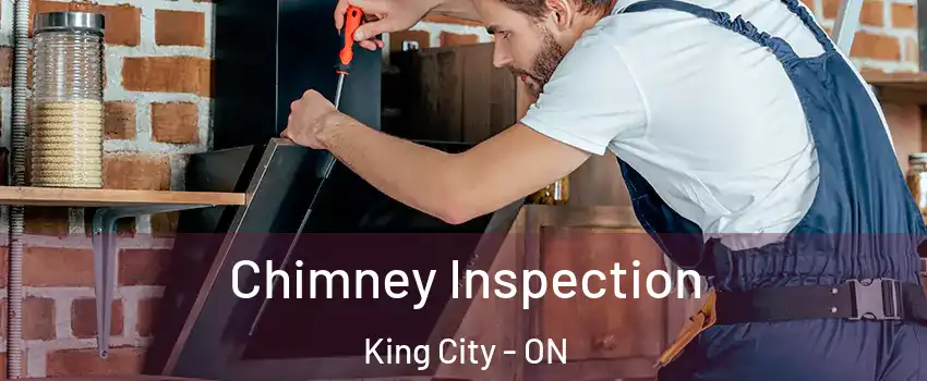 Chimney Inspection King City - ON